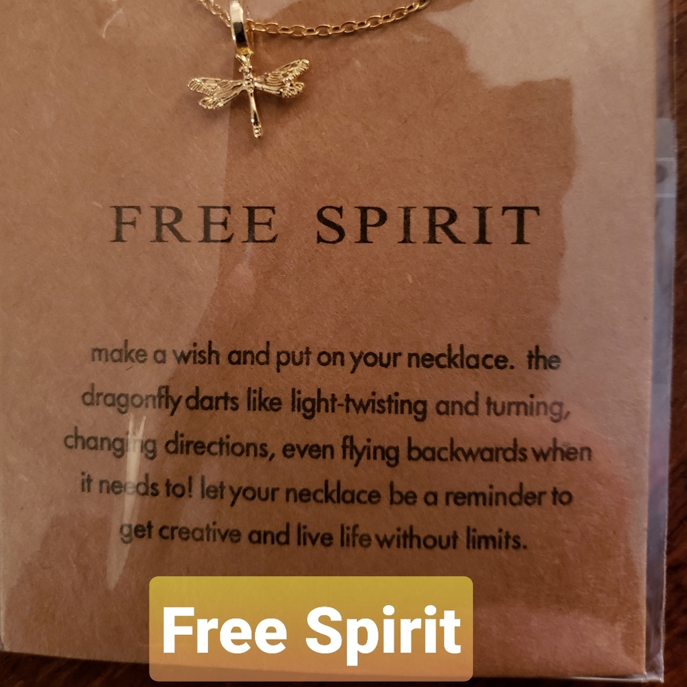 Free Spirit Dragonfly Necklace-NIP